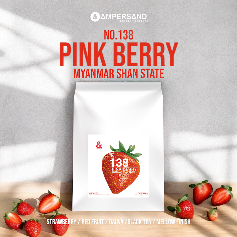 NO.138 "PINK BERRY" Myanmar Shan State - เมล็ดกาแฟ by AMPERSAND COFFEE ROASTERS