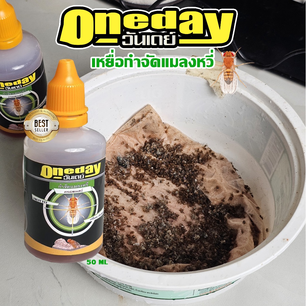 วันเดย์ กำจัดแมลงหวี่เหยื่อล่อแมลงหวี่ ชนิดน้ำล่อมาตอมกิน