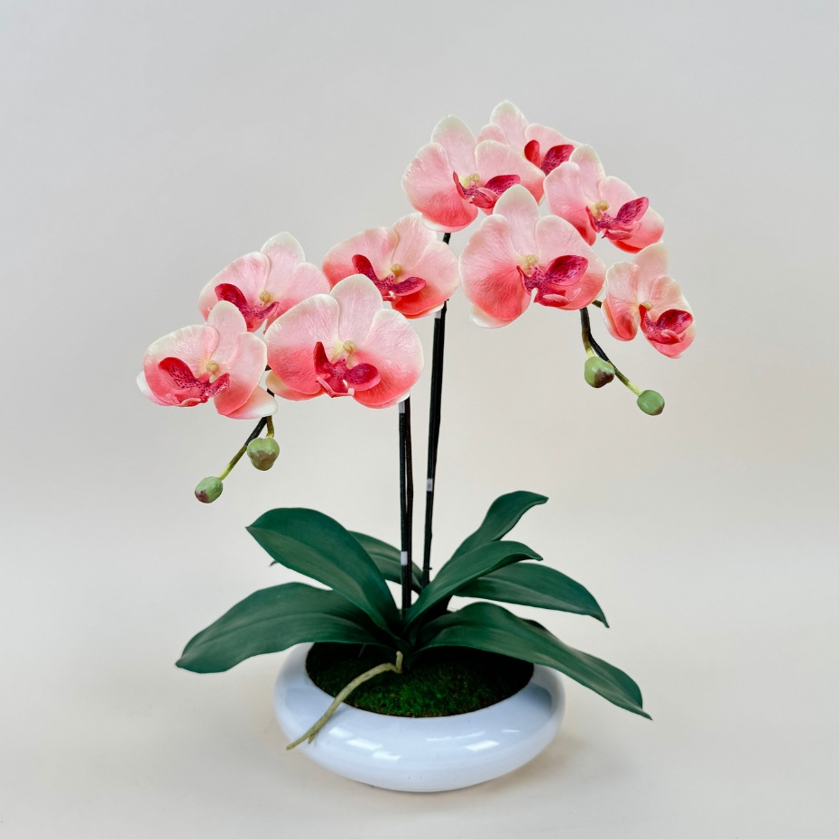 กระถางดอกไม้ปลอมตกแต่งบ้าน กล้วยไม้ปลอมพร้อมกระถาง