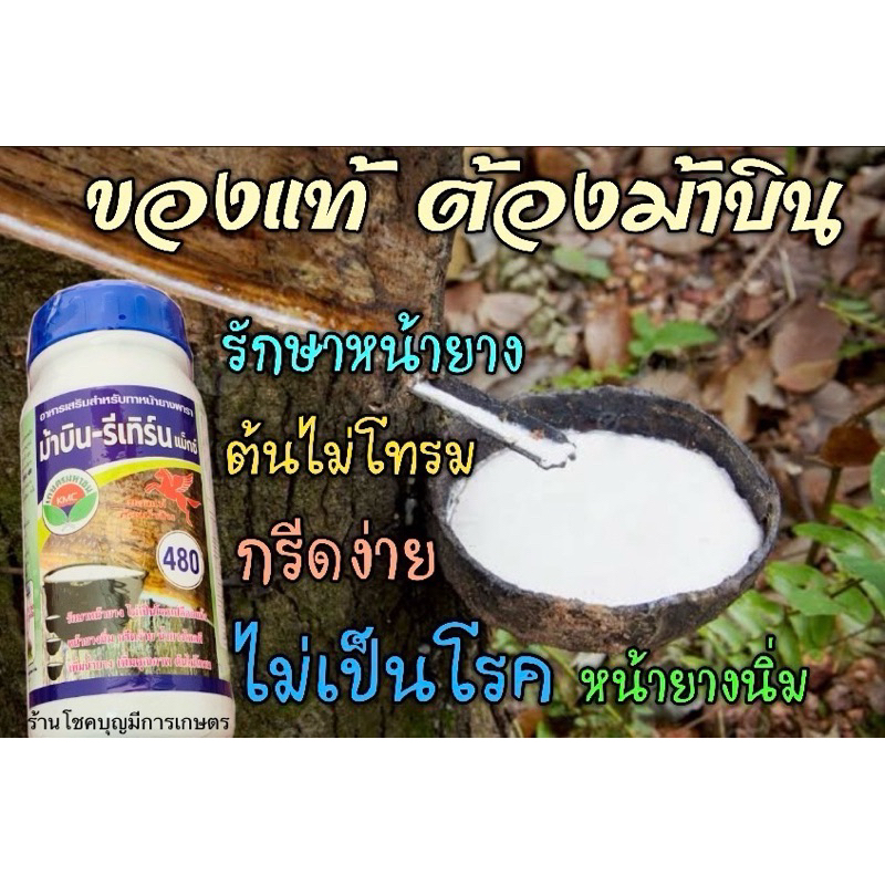 ม้าบิน รีเทิร์น480 อาหารเสริมทาหน้ายางพารา500cc