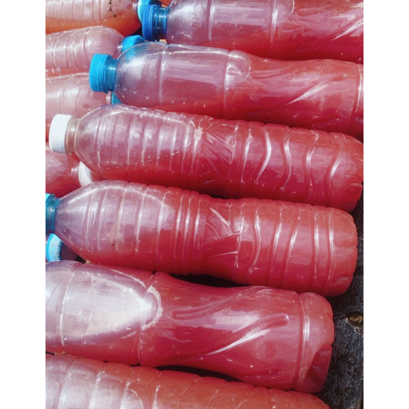 จุลินทรีย์สังเคราะห์แสง 500 มล. ตัวช่วยย่อยสลายอินทรีย์วัตถุ ปรุงดิน ปลูกต้นไม้ ใส่โถส้วมดับกลิ่นห้องน้ำได้