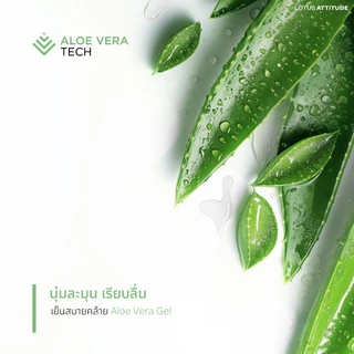 LOTUS ATTITUDE ชุดผ้าปู รุ่น NORDEN ELEMENTS นวัตกรรมICETECH Technology ทุกสัมผัสเย็นยิ่งขึ้น ส่งฟรี