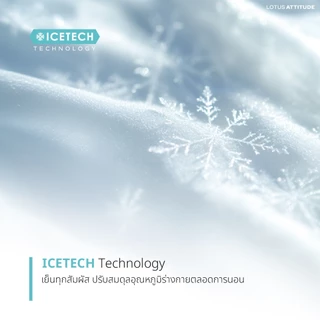 LOTUS ATTITUDE ชุดผ้าปู รุ่น NORDEN ELEMENTS นวัตกรรมICETECH Technology ทุกสัมผัสเย็นยิ่งขึ้น ส่งฟรี