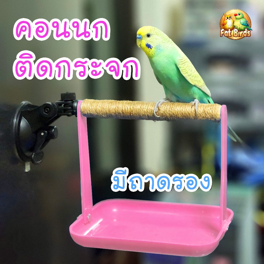 คอนกไซค์ S สำหรับนกขนาดเล็ก ถาดรองสีชมพู ติดกระจก คอนมีให้เลือก3แบบ ติดแน่นติดนาน ปรับได้หลายทิศทาง ติดในรถหรือในบ้านได้