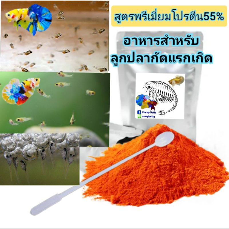 อาหารผงอนุบาลลูกปลากัดแรกเกิด(สูตรพรีเมี่ยมโปรตีน55%)