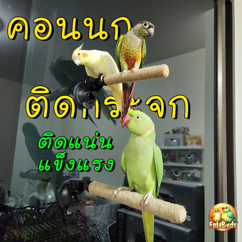 คอนนกติดกระจก ทำจากไม้สนนอกพันด้วยเชือกปอ นกเกาะได้แน่น ปรับได้หลายทิศทาง ติดในรถหรือในบ้านได้