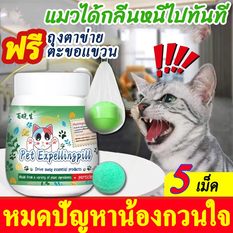 1000เมตรไม่มีแมว ก้อนไล่แมว ยาไล่แมว กลิ่นไล่แมว สเปรไล่แมว