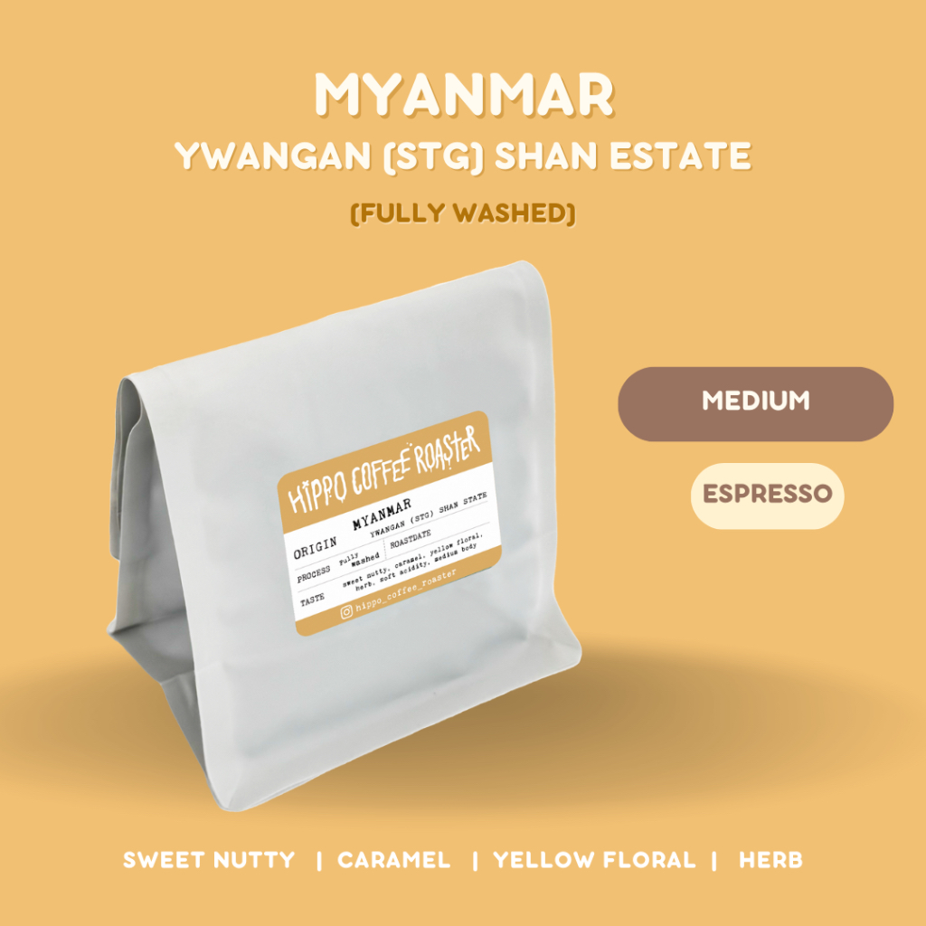 เมล็ดกาแฟคั่วกลาง•Myanmar Ywangan (STG) Shan Estate•fully washed•Hippo Coffee