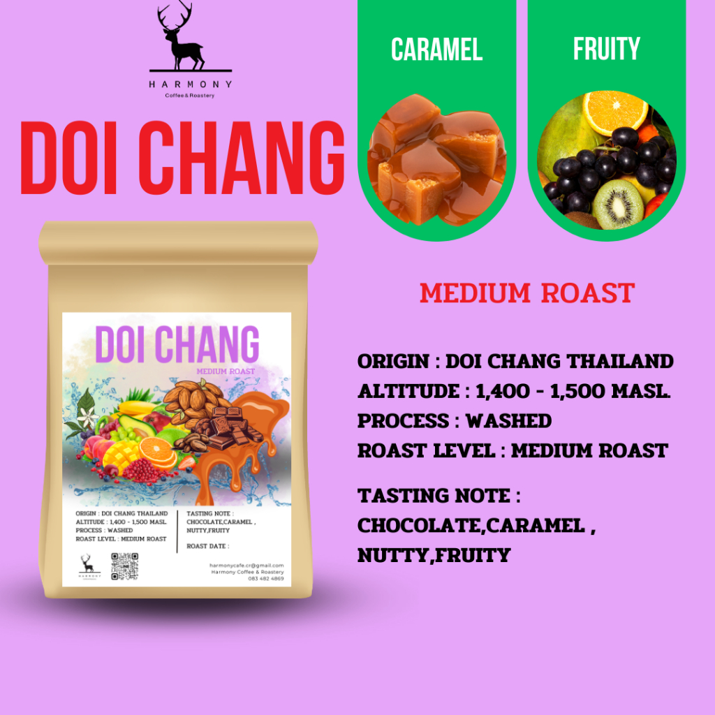 Doi Chang Chiang Rai เมล็ดกาแฟดอยช้างคั่วกลาง : ฮาร์โมนี่ เมล็ดกาแฟคั่วกลาง ดอยช้าง