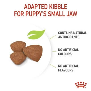 *แบ่งขาย*Royal canin 500g.อาหารสุนัขแบ่งขาย 500 กรัมหลายสายพันธุ์แบ่งสดใหม่ตรงจากโรงงาน