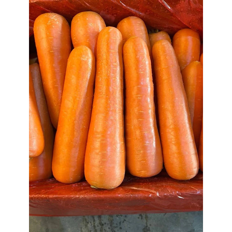 พร้อมส่ง‼️1kg 3kg 5kg แครอทนำเข้า สรรพคุณดี ปั่นน้ำทานอร่อย