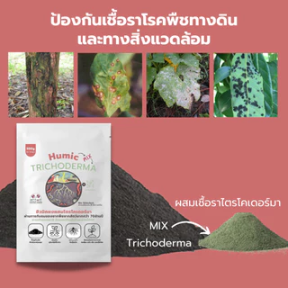 ฮิวมิคผง ผสม ไตรโคเดอร์มา 1kg คุณภาพสูง ฟื้นฟูดินเสีย แตกยอด แตกใบ ป้องกันเชื้อรา กระตุ้นราก ล้างสารเคมีในดิน