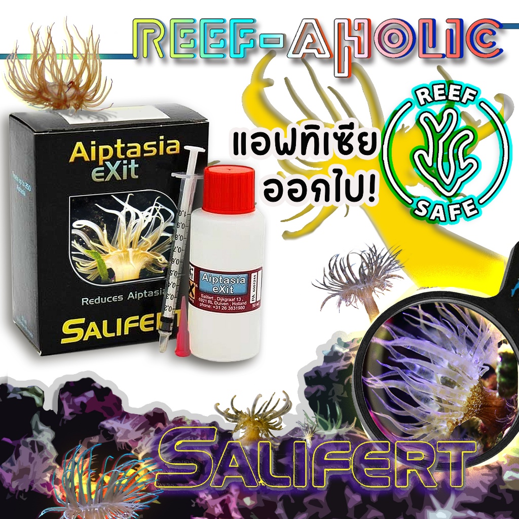 Reef-aholic ได้เวลาทำละลายให้กับอิ๊ป Salifert Aiptasia Exit ที่จะช่วยชีวิต ปะการังอื่น ๆ อีกมากมาย