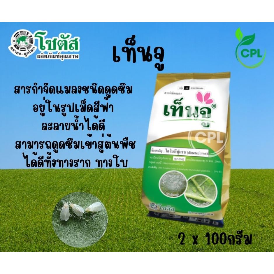 เท็นจู ไดโนทีฟูเเรน โซตัส