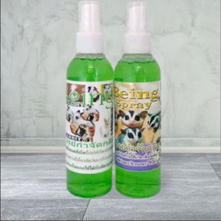 สเปร์ยกำจัดกลิ่นชูก้า กระรอก กำจัดกลิ่นเหม็น มีกลิ่นหอม