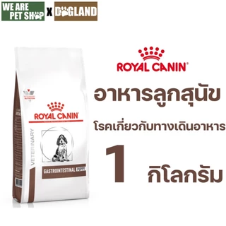 Royal Canin Vet Dog 1 kg Gastro Puppy อาหารเม็ดลูกสุนัขท้องเสีย