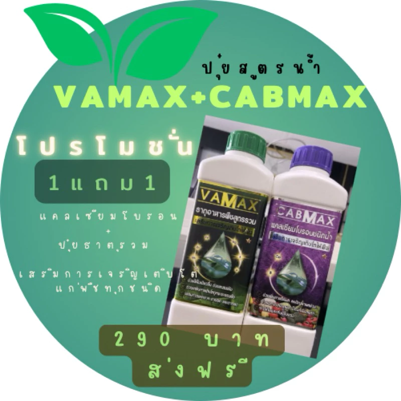 โปร 1 แถม 1 (ปุ๋ยธาตุรวม VAMAX + CABMAX แคลเซียมโบรอน) ปลอดภัยขึ้นทะเบียนอย่างถูกต้อง (V1+C1)