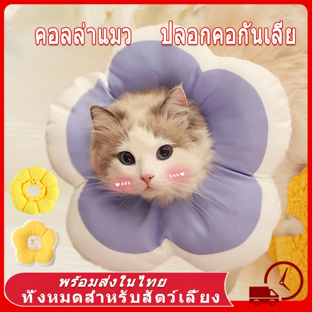 collar แมว กันเลีย คอลล่าแมว ปลอกคอกันเลีย คอลล่าสัตว์เลี้ยง ปอกคอสัตว์เลี้ยง ลำโพงกันเลีย ปอกคอกันเลีย สามารถปรับขนาดได