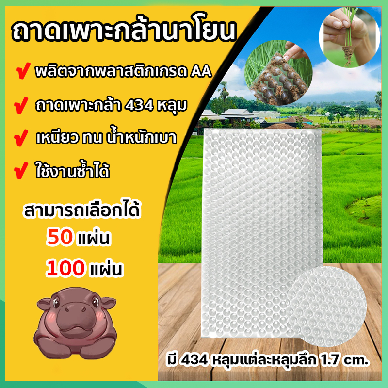 ถาดเพาะกล้านาโยน (แบบหนา) 434 หลุม 50/100 ชิ้น ถาดกล้านาโยน สําหรับการเพาะปลูกต้นกล้า ทนทานมาก