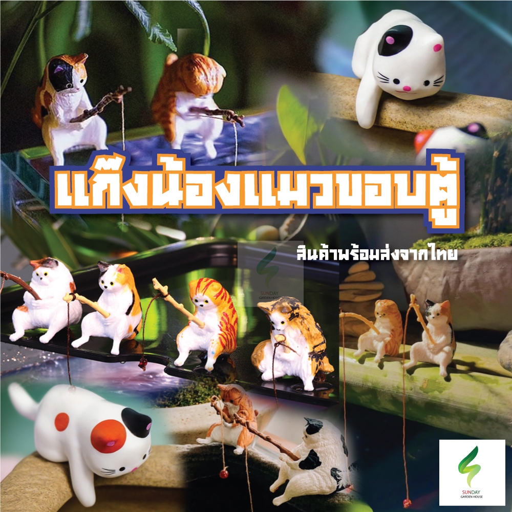 แก๊งน้องแมวขอบตู้ สำหรับตกแต่งตู้ปลา อ่างบัว อ่างดิน อื่นๆ