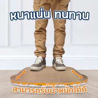 Petus ที่ลับเล็บแมว ที่ฝนเล็บ แผ่นลับเล็บ มี 3 ขนาด เนื้อกระดาษแน่น ของเล่นแมว Cat Toy
