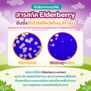 Jelly CARE IMMU เจลลี่แคร์ อิมมู - วิตามินเสริมภูมิ อาหารเสริมเด็ก ต้านหวัด สู้ไวรัส