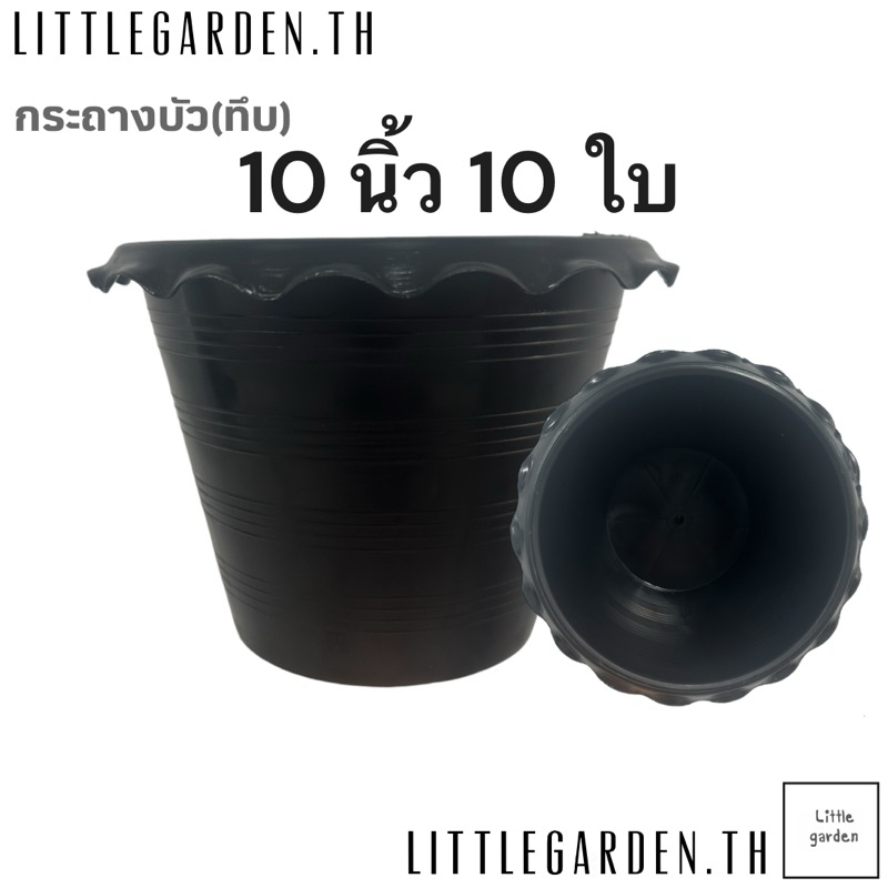 กระถางบัวสีดำ(ทึบ) 10 นิ้ว 10 ใบ ขอบหยัก ไม่มีรู