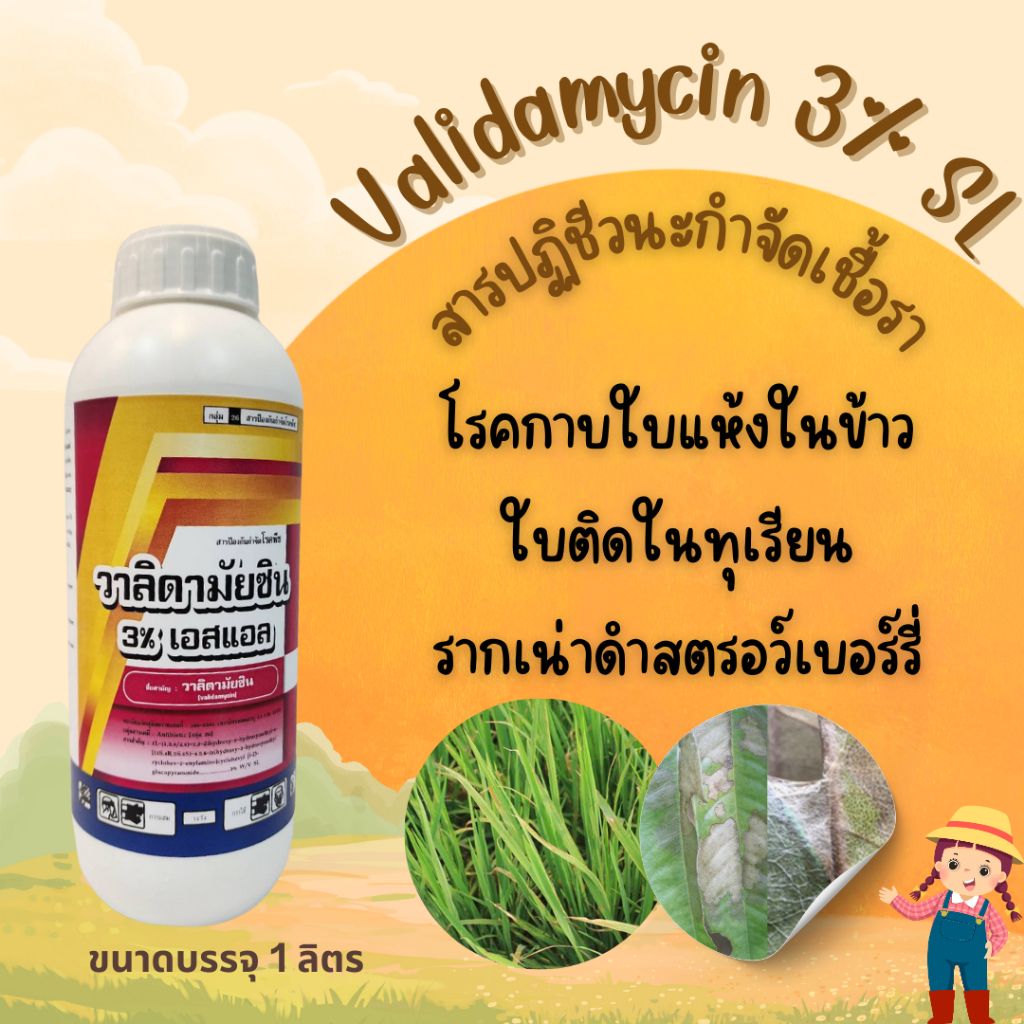 วาลิดามัยซิน 3% SL ขนาด 1 ลิตร ป้องกันกำจัดโรคพืช เชื้อรา Rhizoctonia solani