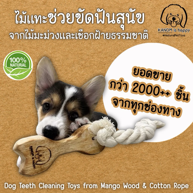 ไม้แทะขัดฟันสุนัข ของเล่นสุนัข ของเล่นหมา จากไม้มะม่วงและเชือกฝ้ายธรรมชาติ 100%