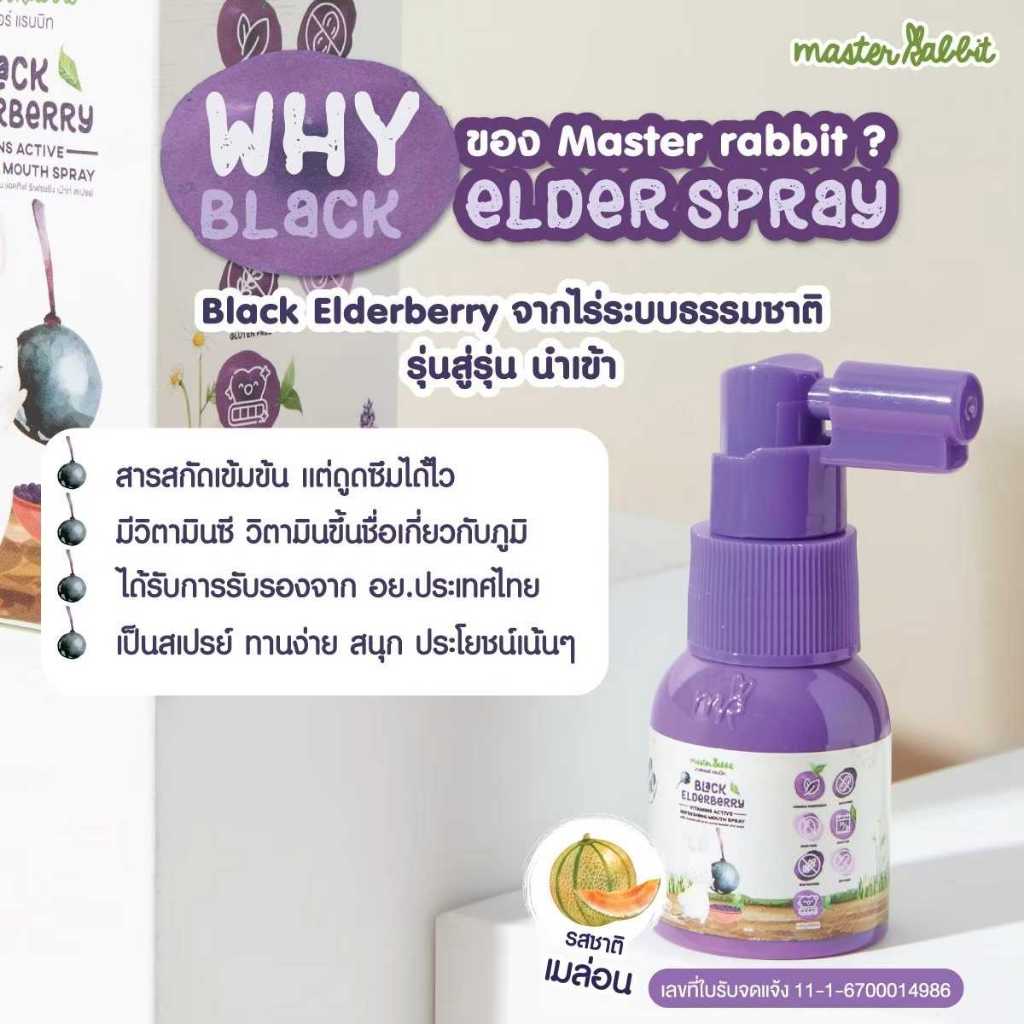 แบล็กเอลเดอร์เบอร์รี่ สเปรย์ สำหรับเด็ก Master Rabbit Black Elderberry Vitamins Active Refressing Mouth Spray ราคา ถูกที่สุด ดีลบีเคเค แกลเลอรีภาพที่ 4