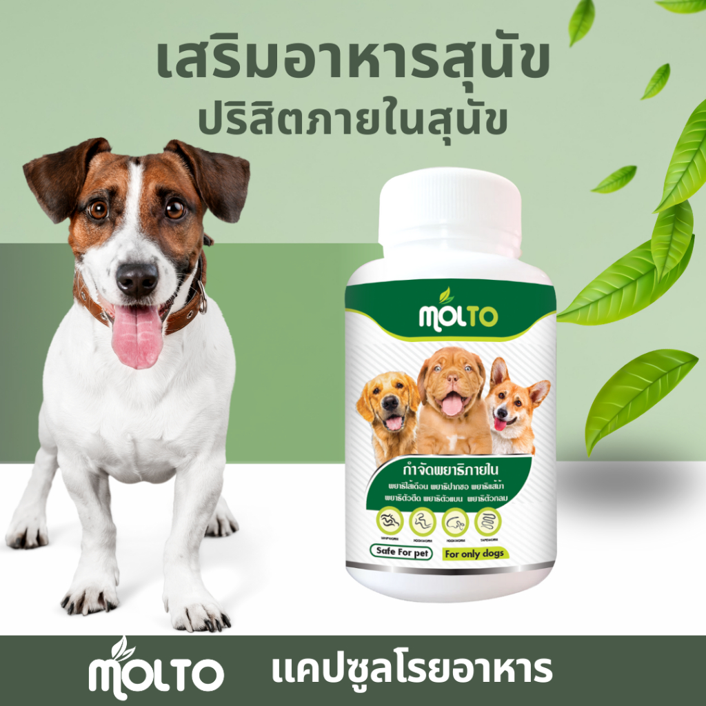 เสริมภูมิต้านทานสุนัข ป้องกันปริสิตภายในสุนัข สุขภาพสุนัขที่ดี