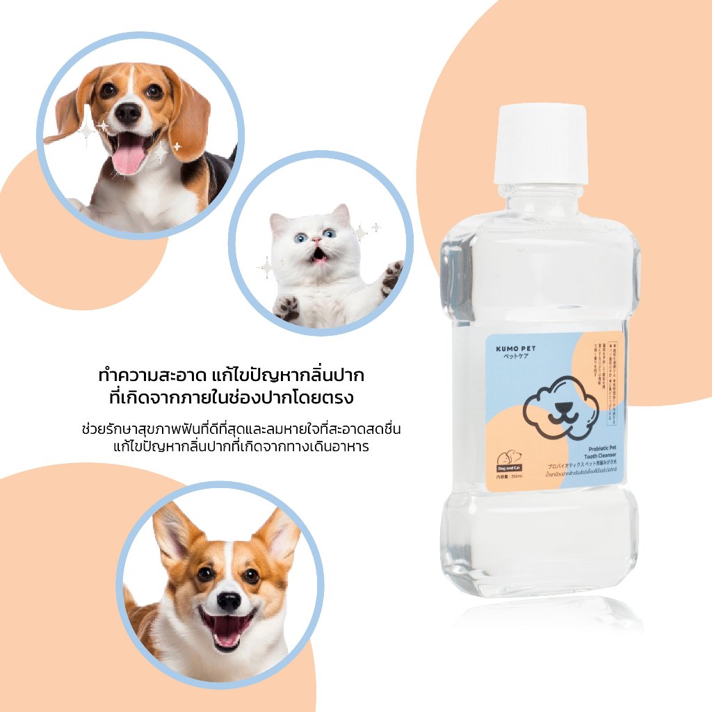 รูปภาพ 7