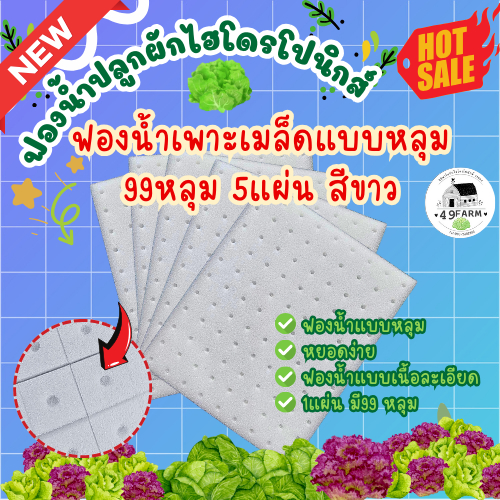 ฟองน้ำเพาะเมล็ดผักไฮโดรโปนิกส์แบบหลุม 99หลุม