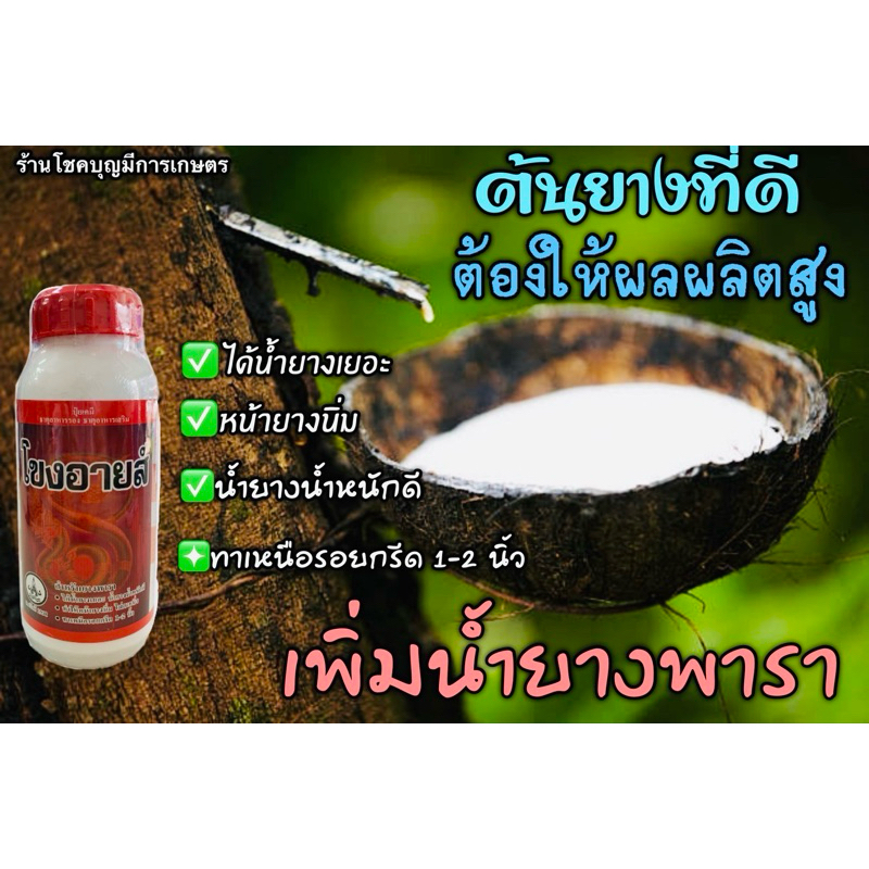 โขงอายส์ ยาทาหน้ายาง ปุ๋ยเคมี ฝาสีแดง