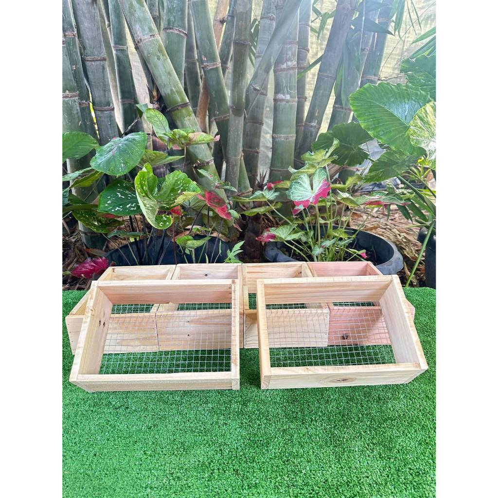 🚚สินค้าพร้อมส่ง 🐇รังคลอดกระต่าย มี 2 เเบบให้เลือก 🐇