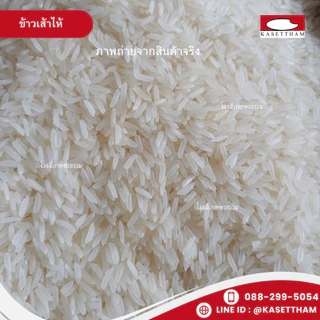 14 กก. ข้าวเสาไห้ 100%เม็ดสวยไม่มีหัก ข้าวเก่านาปี หุงดีขึ้นหม้อ ข้าวสารตราส้มเขียวหวาน ส่งฟรี สั่ง 3 ถุงคุ้มค่าส่ง