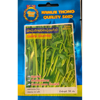 เมล็ดผักบุ้ง ผักบุ้งไทย (ผักบุ้งแก้ว) เย็นตาโฟ ปลูกง่าย เก็บ…