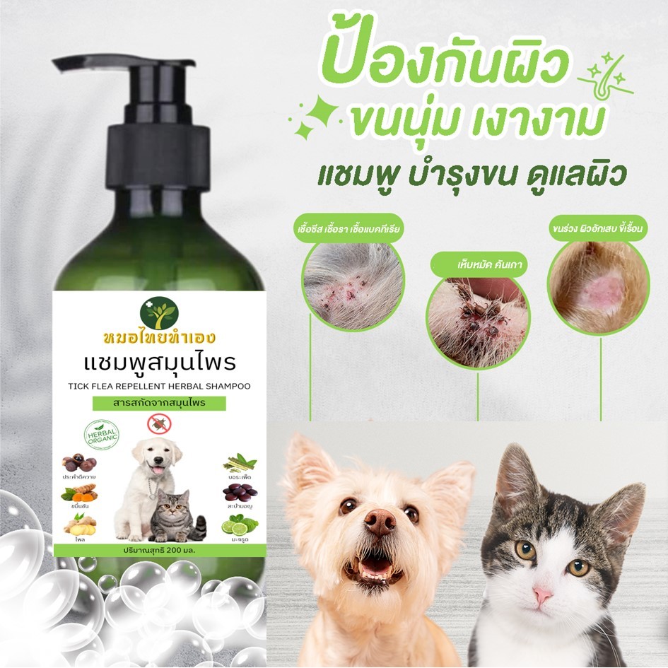 หมอไทยทำเอง แชมพูบรรเทาโรคผิวหนัง ไล่ ป้องกันเห็บหมัด ขี้เรื้อนสุนัข แมว เชื้อรา ยีสต์ คันเกา ขนร่วง 200 ml. สมุนไพร