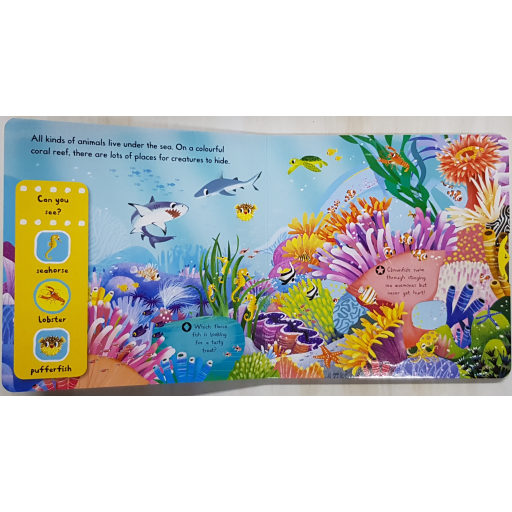 ดึง Sea Creatures (push pull slide board book) เหมาะสำหรับ 1+ กระดาษแข็งหนาทุกหน้า