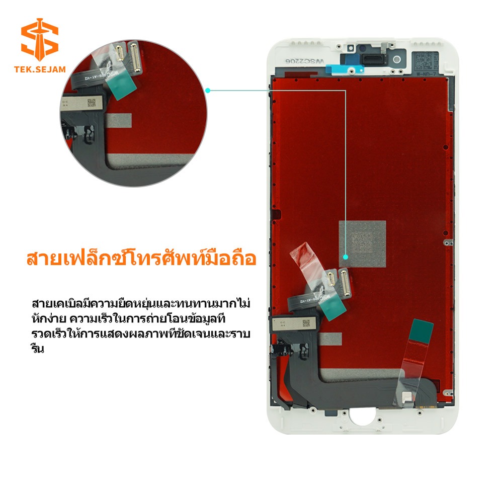 รูปภาพ 5