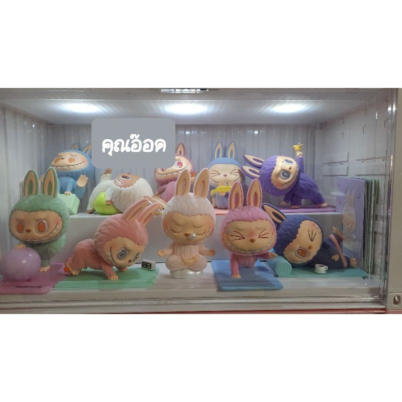พร้อมส่ง🇹🇭 ลาบูบู้โยคะ 👉ยก box 👈 THE MONSTERS LAZY YOGA