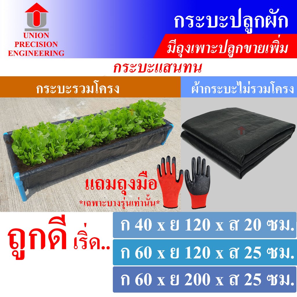 Union กระบะปลูกผัก ( แสนทน ) กะบะ  แปลงปลูกผัก กะบะปลูกผัก แปลงผัก กะบะใส่ดินปลูกต้นไม้