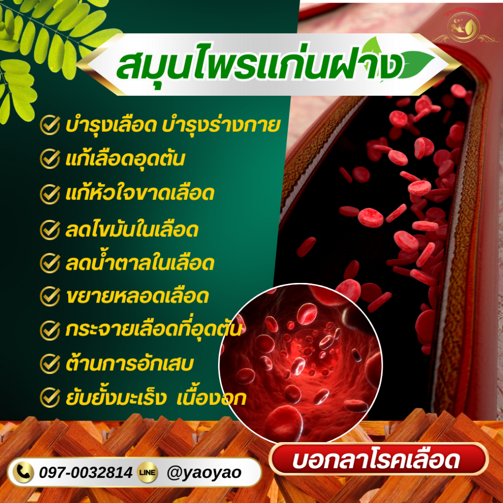 ชาแก่นฝาง แบบแพค30ซอง 1ซองชงดื่มกับน้ำได้1ลิตร ดื่มแทนน้ำได้ทั้งวัน บำรุงเลือด เพิ่มภูมิคุ้มกันได้ดี