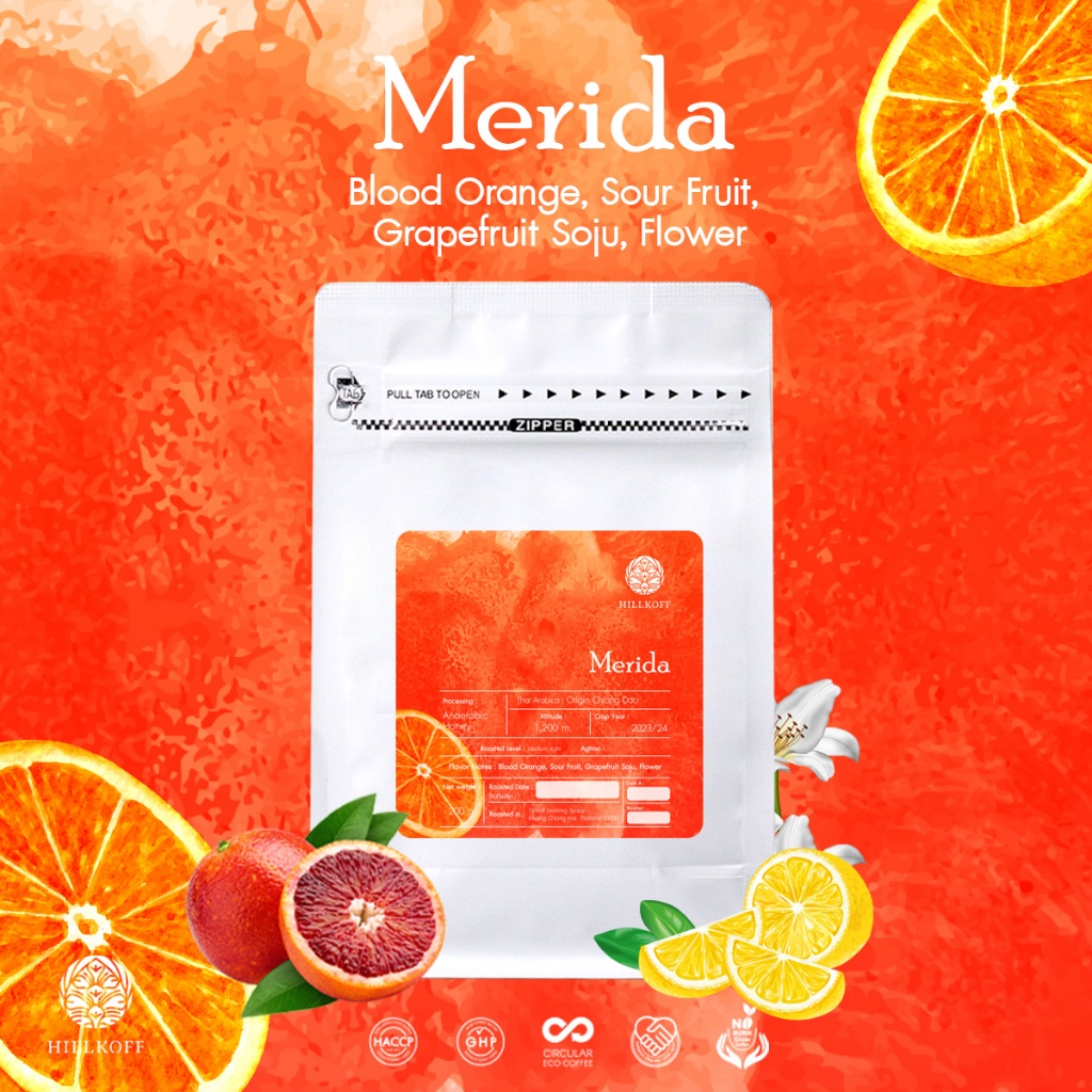 Hillkoff : เมล็ดกาแฟ Merida Arabica Specialty Roasted : เมล็ดกาแฟอราบิก้าสเปเชียลตี้ เมอร์ริด้า