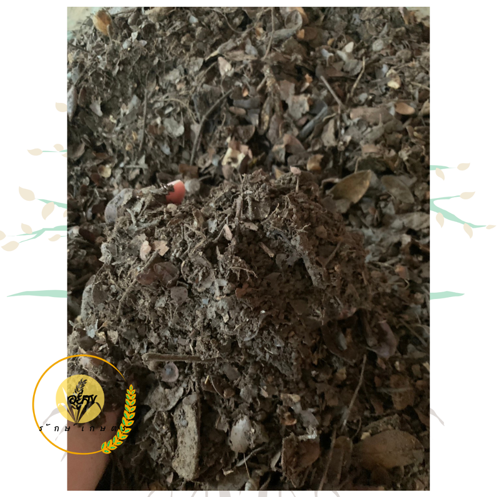 ดินใบก้ามปู ดินใบก้ามปูธรรมชาติ ดินปลูกต้นไม้