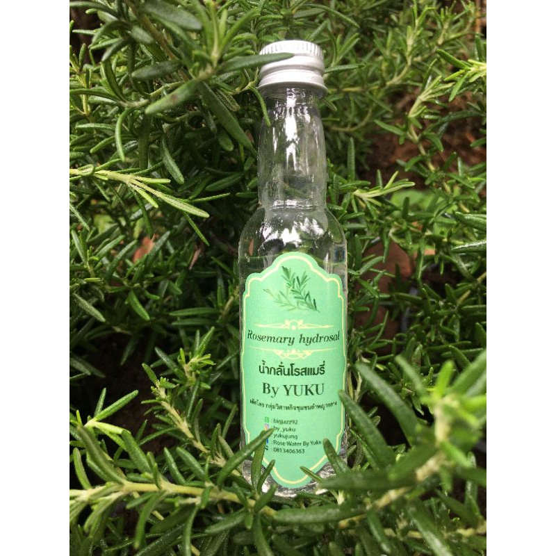 น้ำกลั่นโรสแมรี่ Rosemary Water