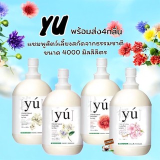 แชมพู Yu Shampoo แชมพูสุนัขและแมว จากประเทศไต้หวัน 4000 มล.ตัวเลือกดอกโบตั๋น,ดอกแอสทรากาลัส,ดอกซากูระ,เม็ดลูกเดือย