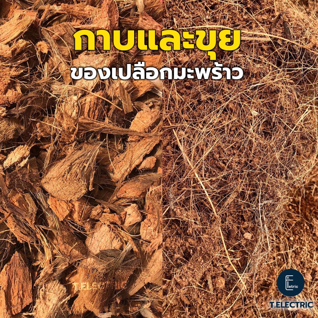 กาบมะพร้าว ขุยมะพร้าว 900g. (จากเปลือกมะพร้าว) กาบมะพร้าวสับ มะพร้าวสับ ทำให้ดินโปร่ง