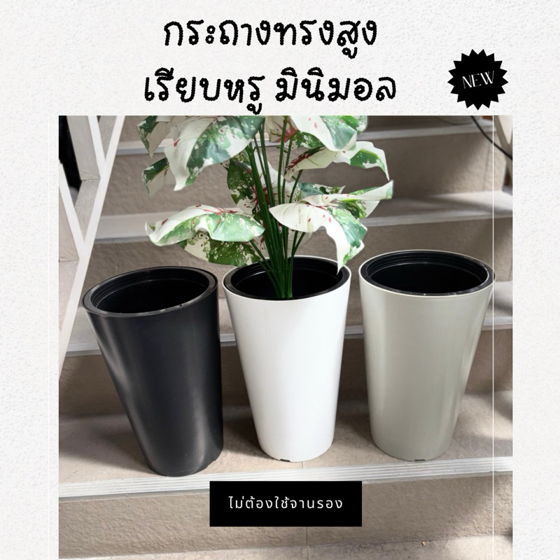 กระถางทรงสูง 9นิ้ว สวย หรู ถูก กระถางมินิมอล แต่งบ้าน แต่งสวน ไม่ต้องใช้จานรอง