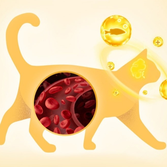 Thai.th น้ํามันปลาสำหรับสัตว์เลี้ยง  น้ํามันปลาทะเลน้ําลึกแคปซูล น้ามันตับปลา Pethealth - รูปที่ 4